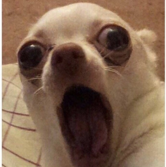 Meet your Posher, Tonya - Picture 1 of 1